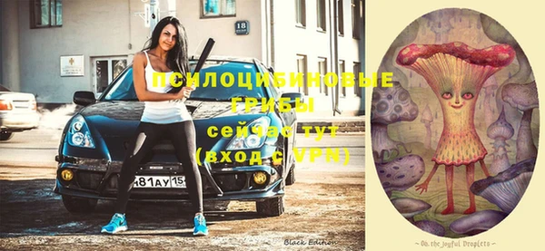 гидропоника Горнозаводск