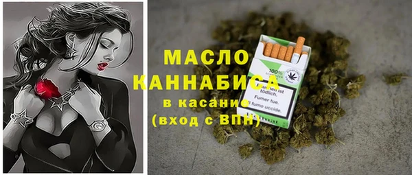 гидропоника Горнозаводск