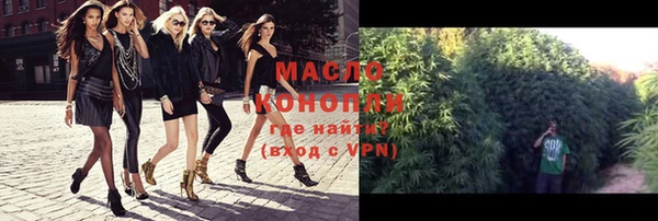 гидропоника Горнозаводск